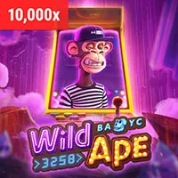 Hỗ trợ khách hàng 678win code