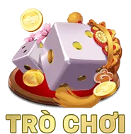 Chấp Thuận Điều Khoản Dịch Vụ