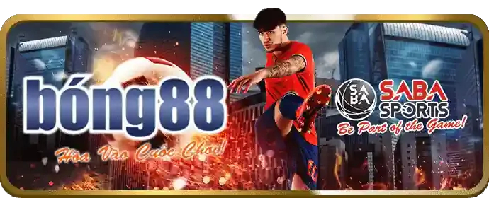 Cá Cược Có Trách Nhiệm 678win code